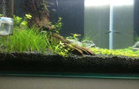 自制鱼缸外过滤系统,鱼缸隔离板自制教程