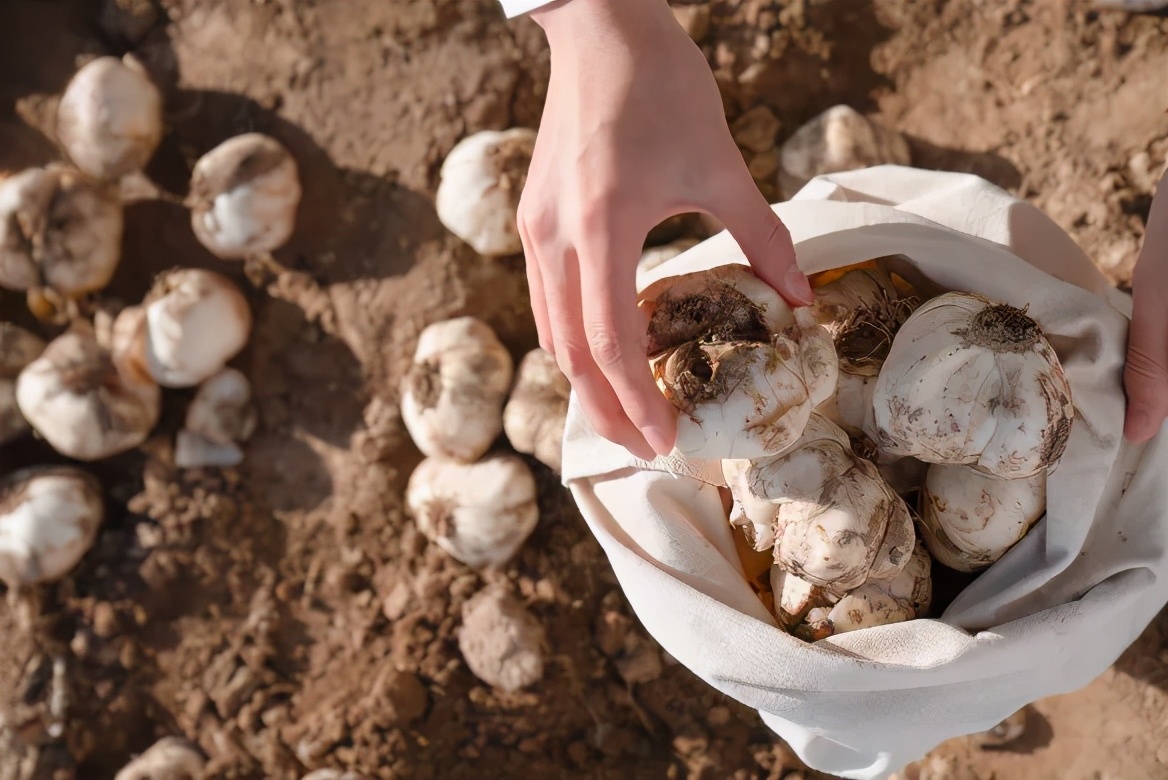 相宜本草中草药护肤,相宜本草的护肤过程