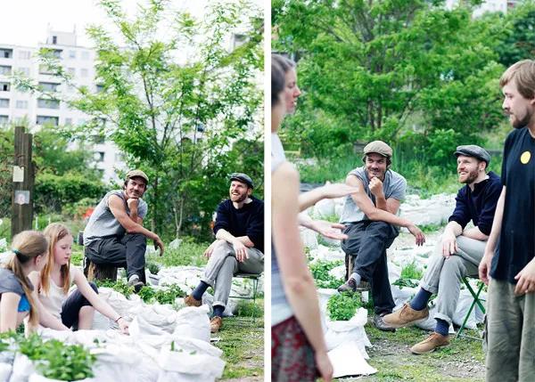 农庄餐饮怎么经营赚钱,怎么经营农家乐卖菜生意