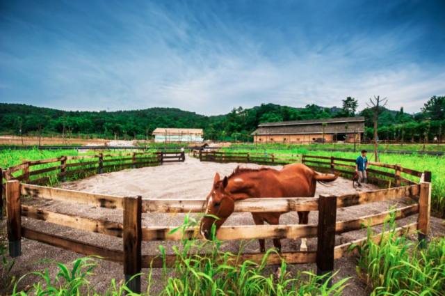 罗浮山浮生御温泉样子,罗浮山浮生六季民宿水上乐园