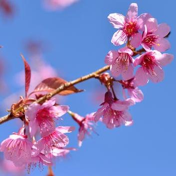 考得怎么样,你考得怎么样