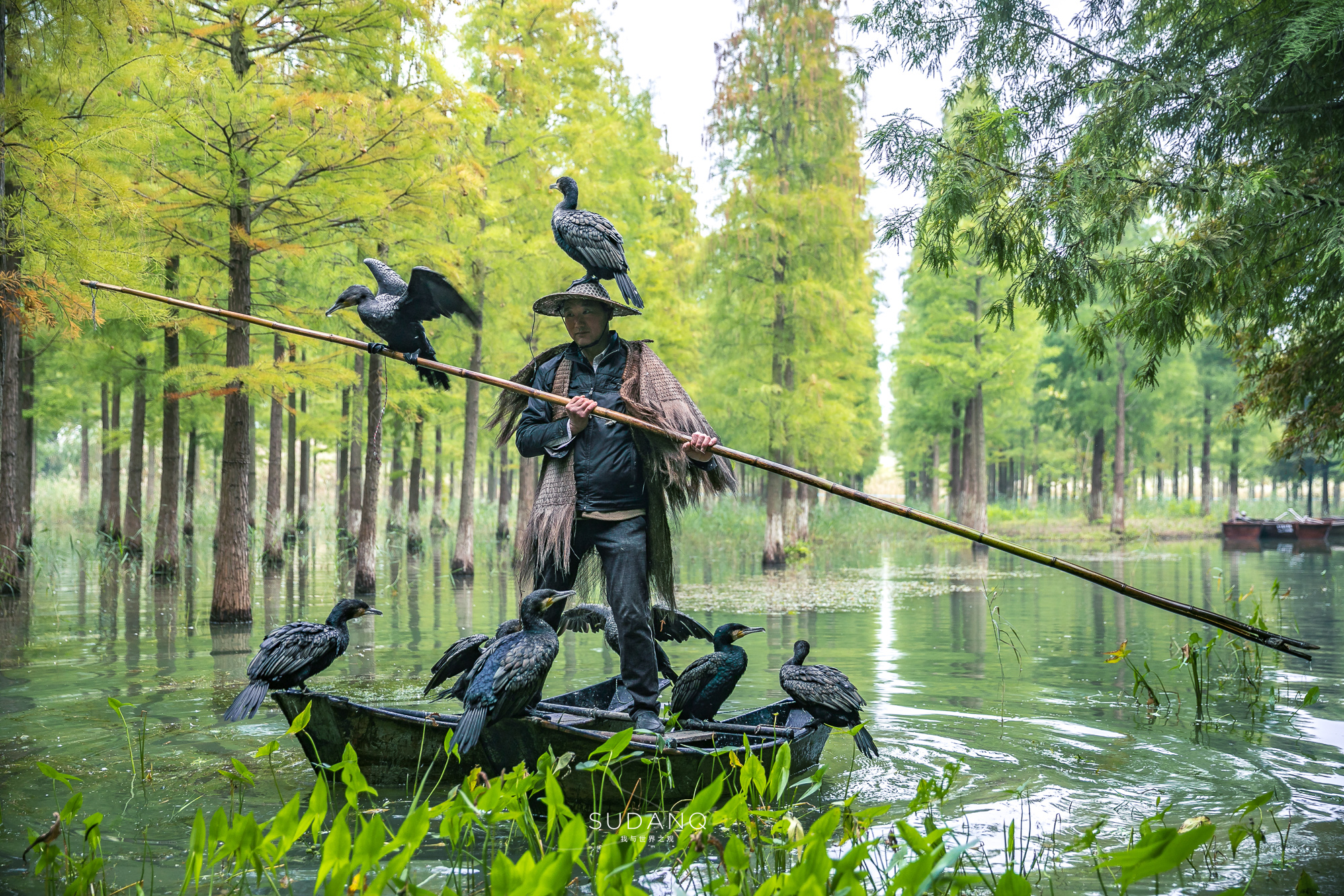 江苏泗洪的风景,江苏的苏南和苏北有什么区别