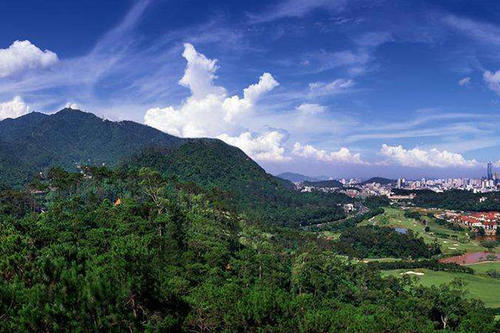 去了广州必去的十个地方,到广州最值得去的地方