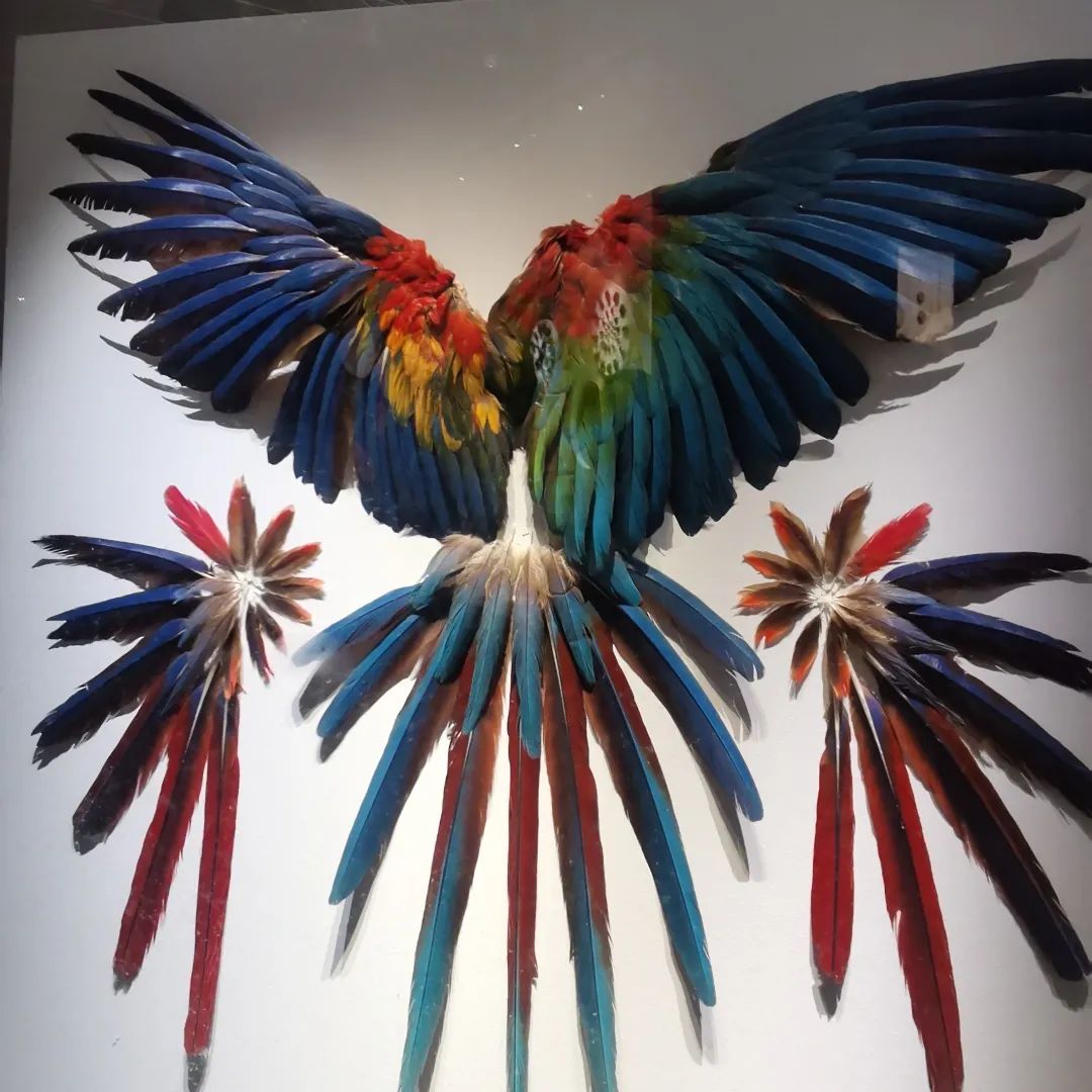 帷思特tch舒适家旗舰店直播,帷思特tch无锡店