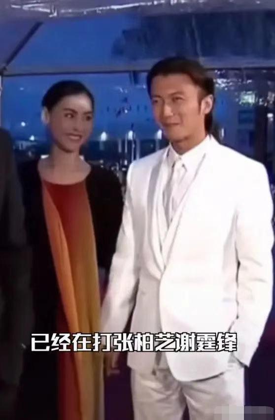 王菲谢霆锋窦唯关系视频,王菲和谢霆锋窦唯