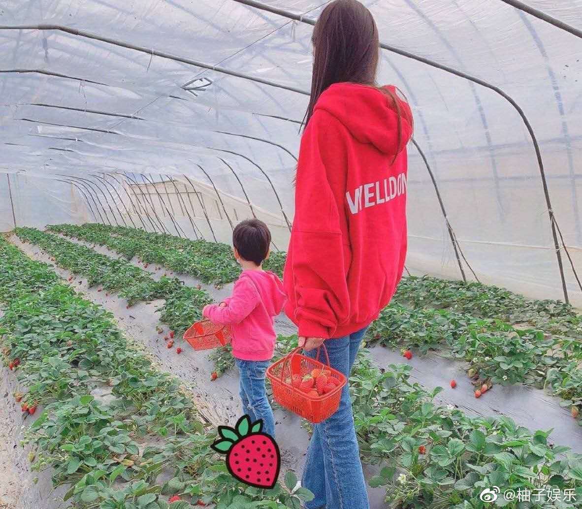 杨颖谈儿子小海绵教育,杨颖儿子小海绵最新图片