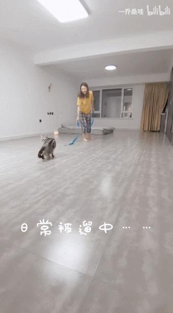 花了二十万做的装修设计,花了20万装修成自己梦想的样子