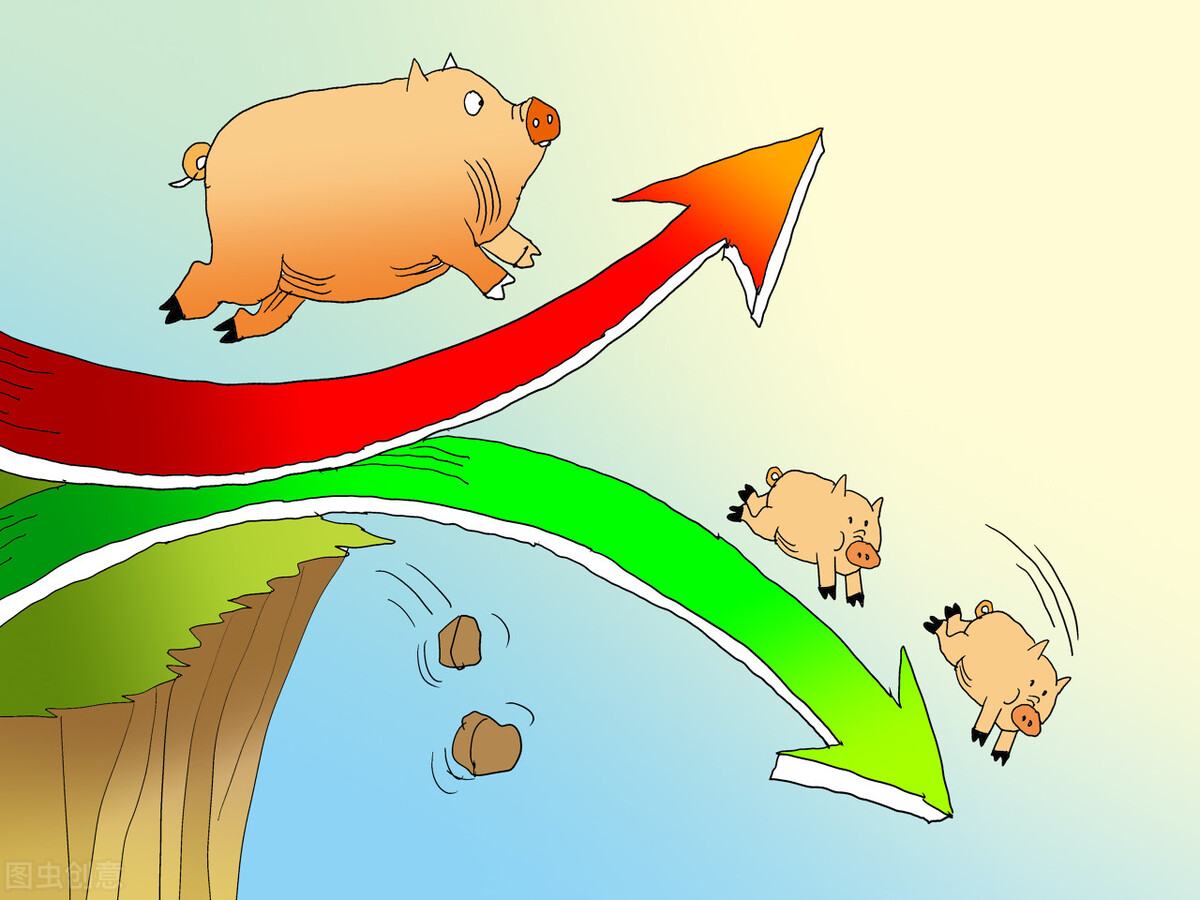 大型猪场降低养猪成本的绝招,养猪亏本