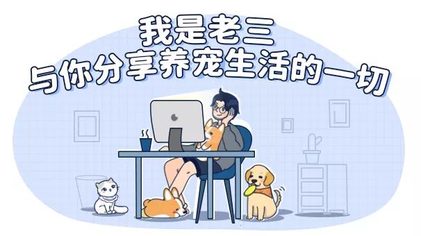 养猫狗常备药,宠物猫狗常用药