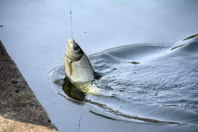 水底有酱层如何实现精准调漂,钓鱼有酱层怎么调漂