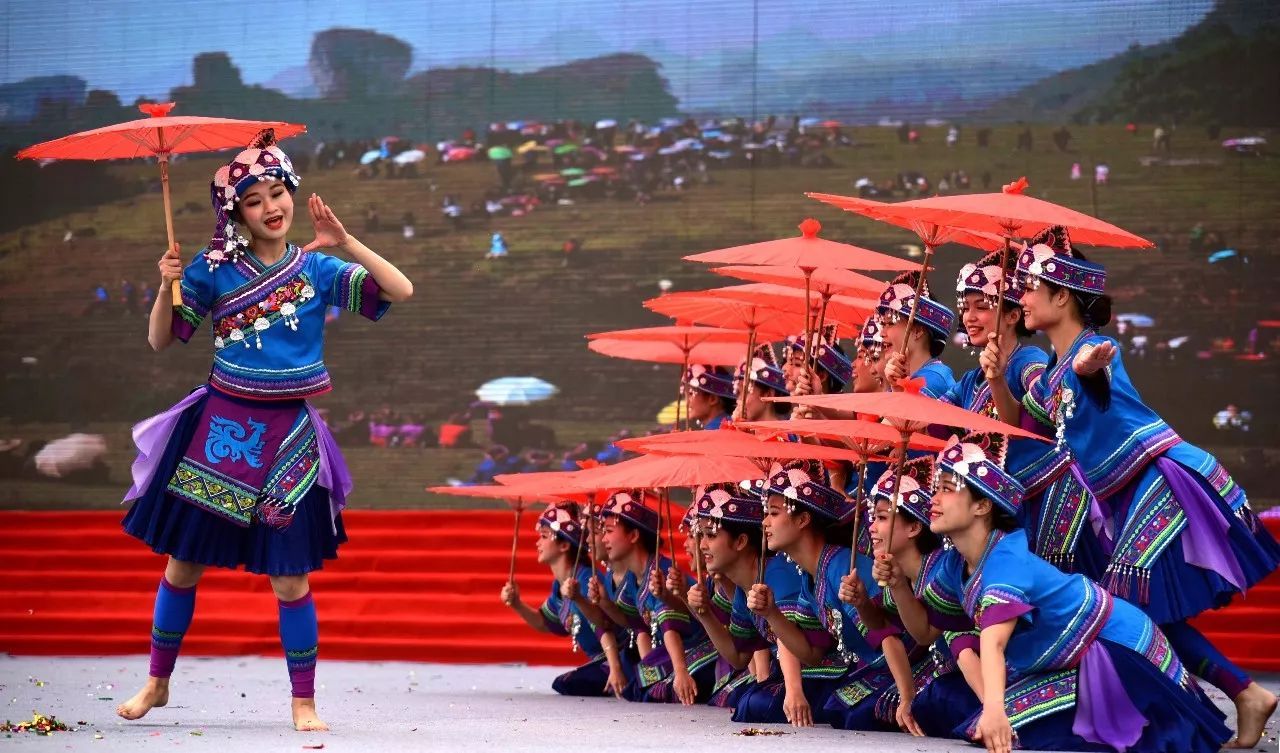 中国56个民族知识大全书籍,关于中国56个民族的知识