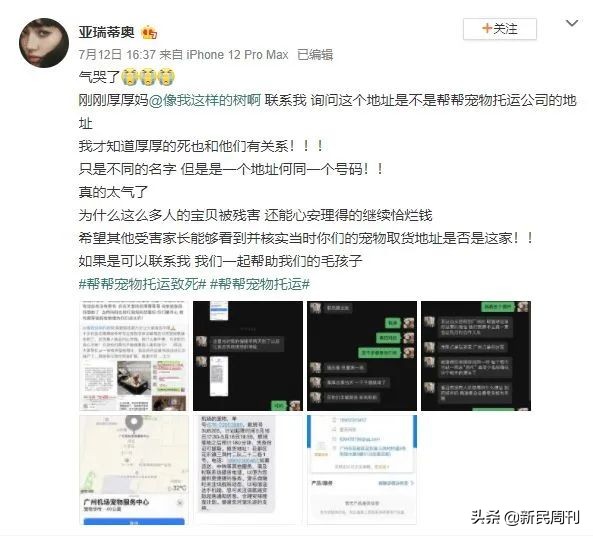 金毛空运被热死事件还原,空运变陆运金毛事件