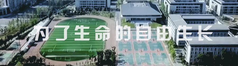 天府四中23摇号比例,成都三中摇中概率