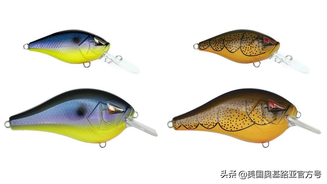 2021年春季渔具展会,2021昆明渔具展时间表