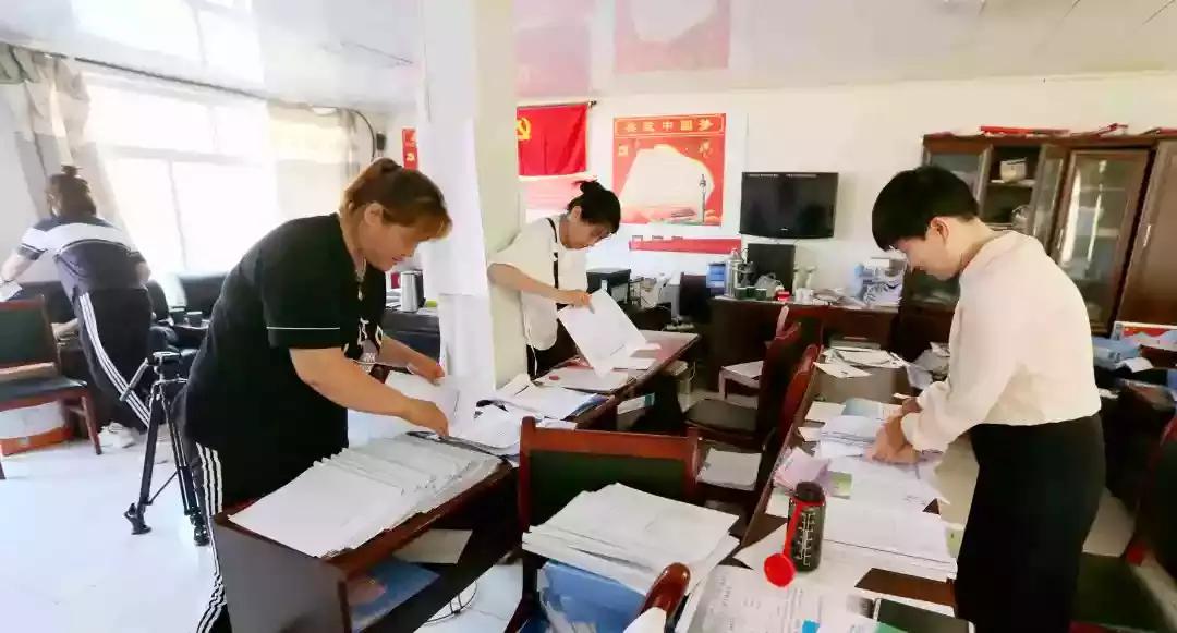 奈曼三花猫,奈曼三金