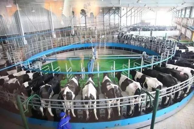 这届90后带娃,这届的90后带娃真难