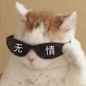 遇到这些虫子千万别拍它,提高警惕遇到这些虫子千万别乱拍