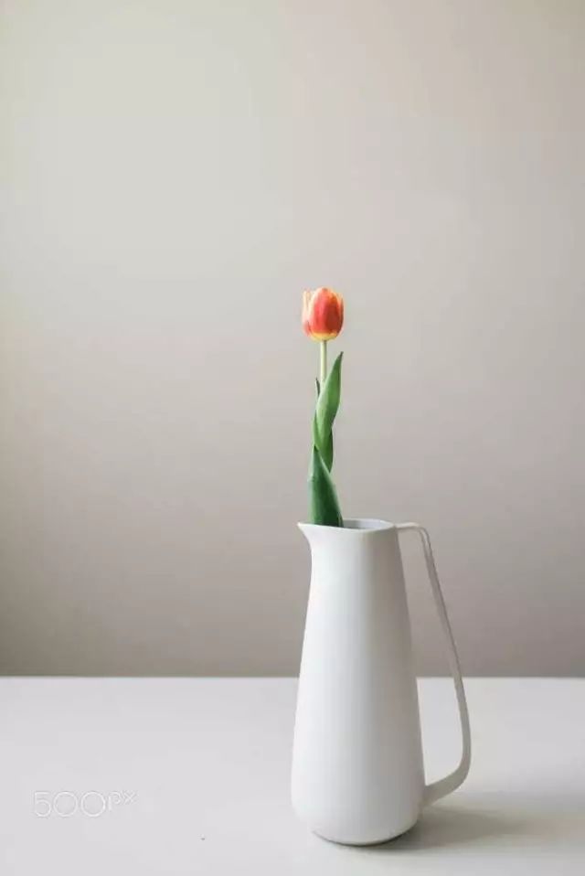 花店鲜花17°c可以放多久不浇水,花店的鲜花怎么保存更长久