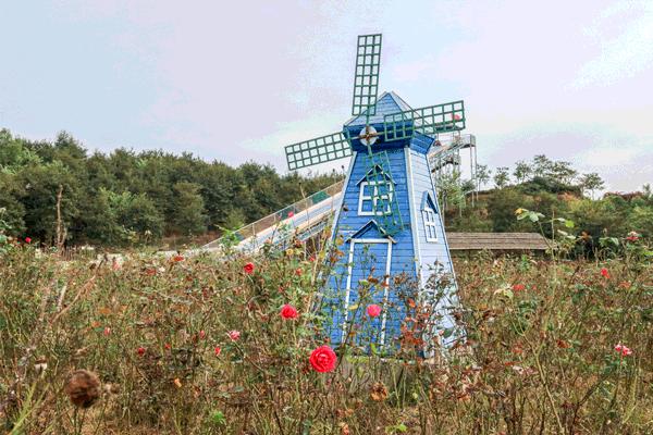 58抢花都志惠农场+玻璃桥套票惊险横跨268米更有环球飞车项目