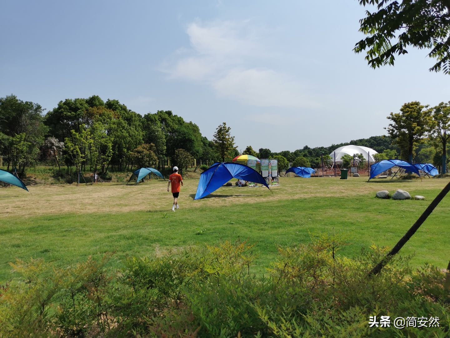 松鼠部落自驾游,松鼠部落一日游