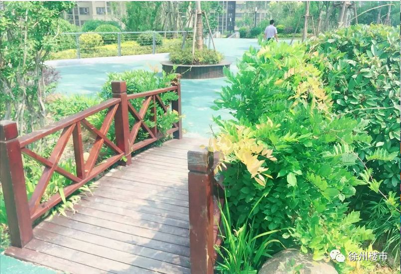 徐州黑马,徐州黑马板块最新消息