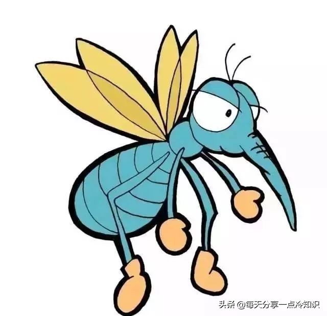 上海地铁100个冷知识,杭州地铁冷知识100条