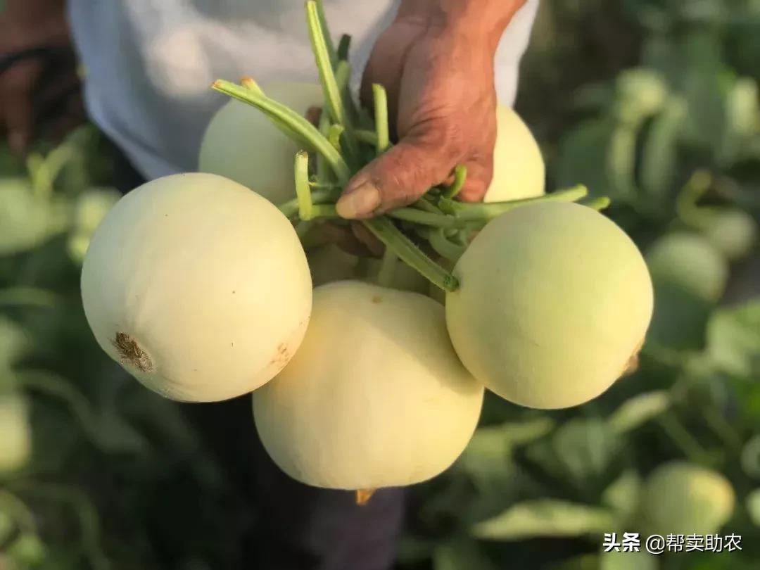 5岁小朋友吃饭狼吞虎咽,4-6岁儿童必吃美食