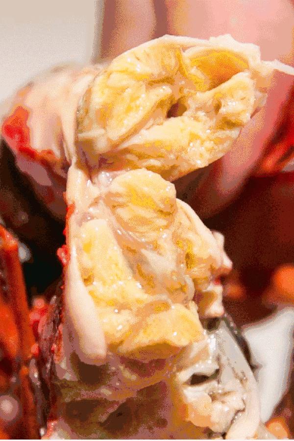 疆优质特产,盘点十大新疆的特产