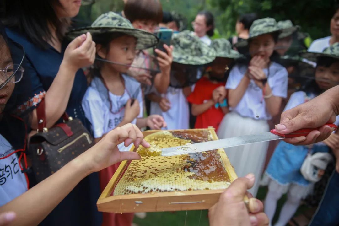 组图：武平县琴韵古筝行六一暨周年庆亲子活动圆满举行
