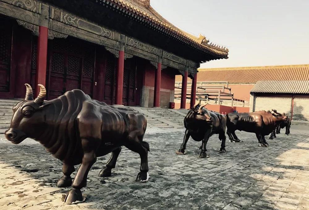 五牛图有哪些牛,五牛图为什么是牛