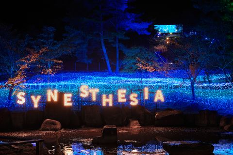 日本特色游玩,日本别样旅行