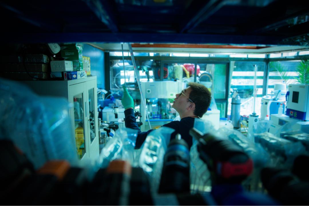 制药救子成功了吗,制药救子