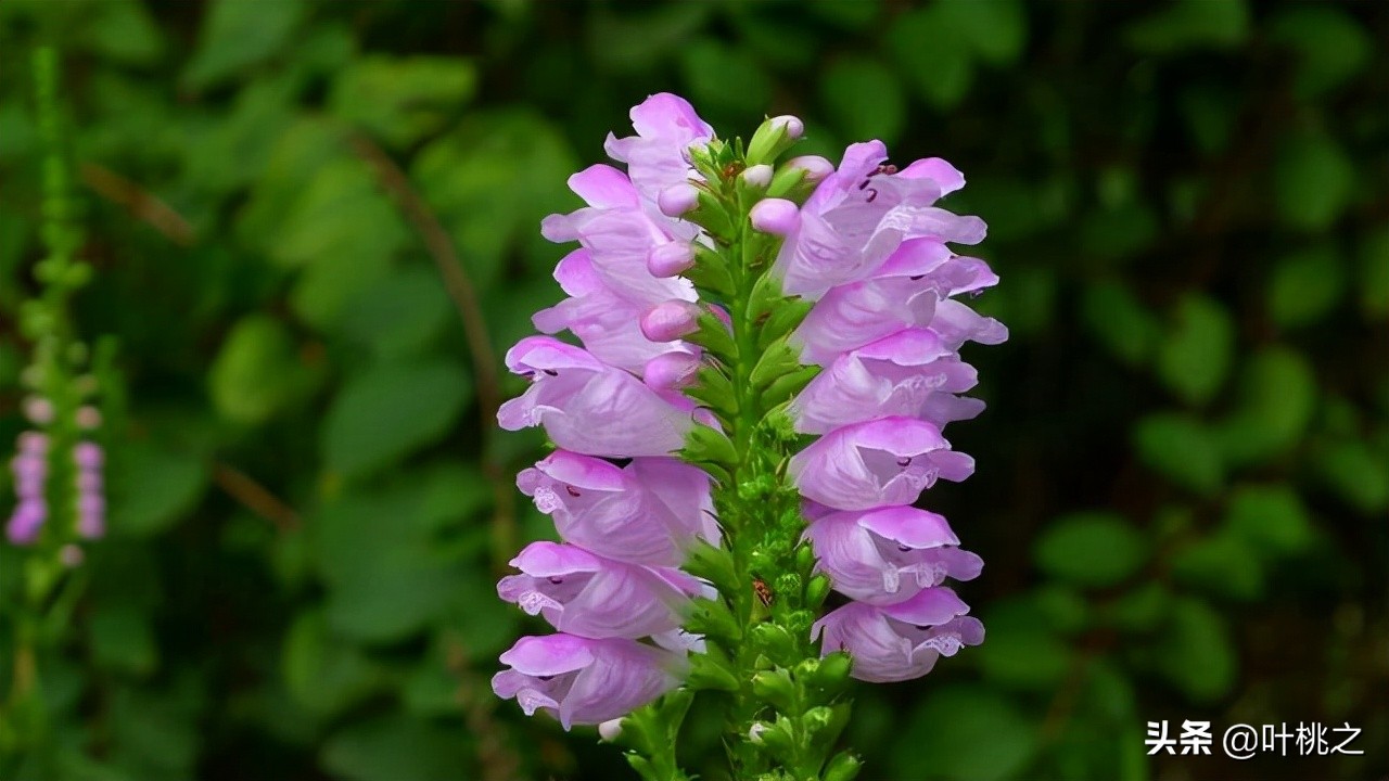留意一下朋友圈从不给你点赞的人,请远离那些不给你点赞的人