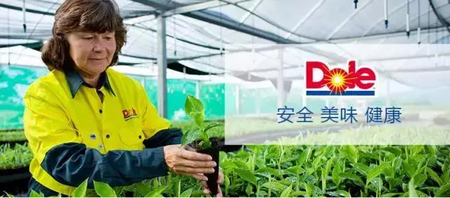 甜过初恋的水果是哪种水果,甜过初恋的水果玉米