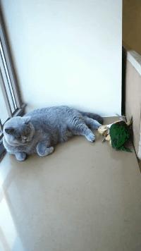 看了整整七分钟，他们最终还是上去了