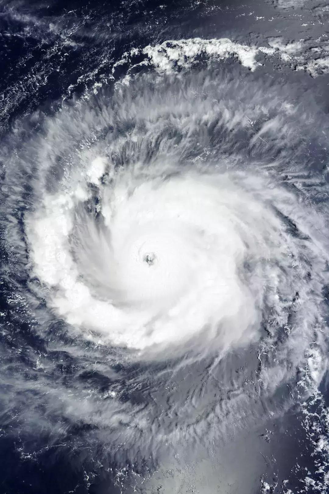 小蛮腰衣架设计图片,小蛮腰套衣架