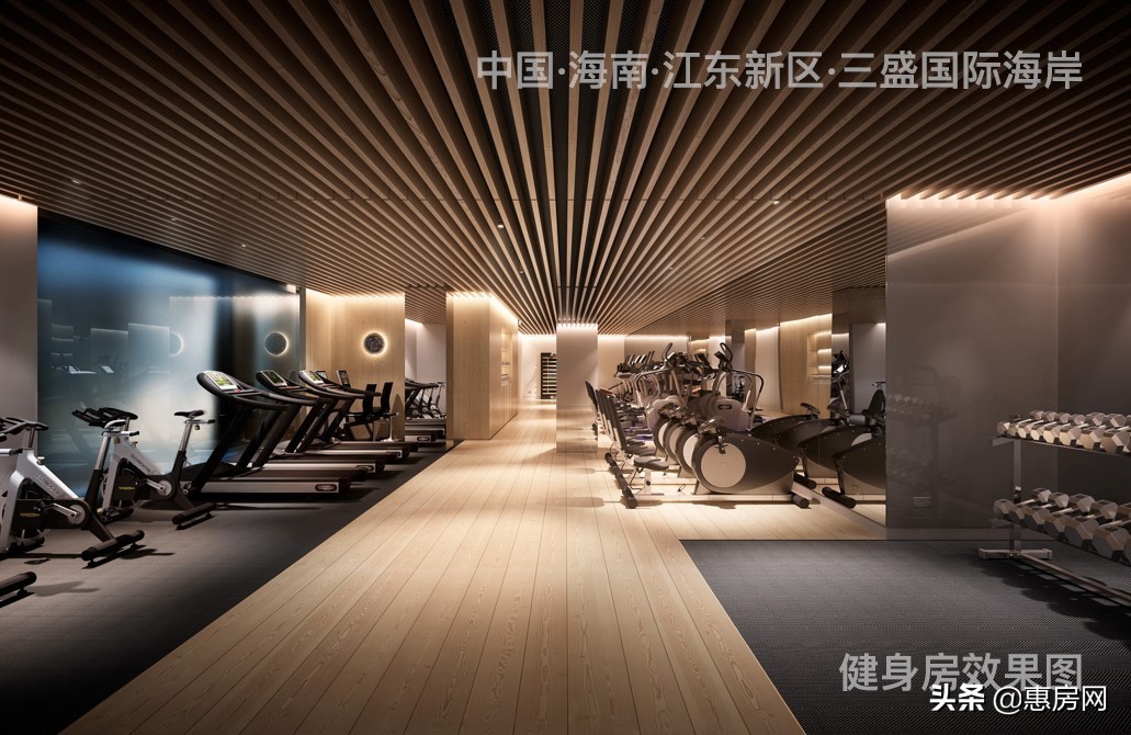 三盛地产!亚洲十大豪宅缔造者!跟随国家的战略脚步!首进海南