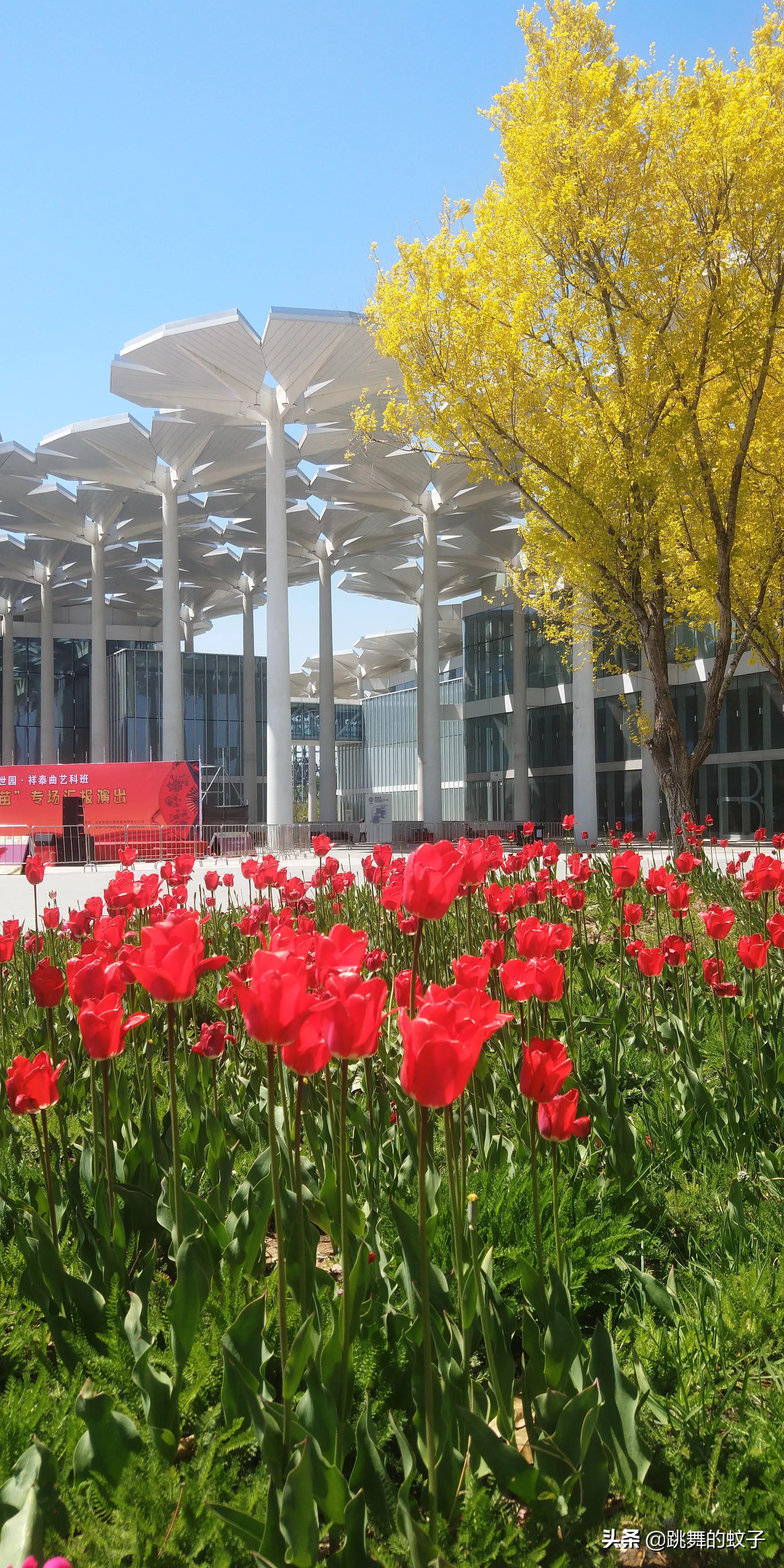 京郊公园,京郊公园门票