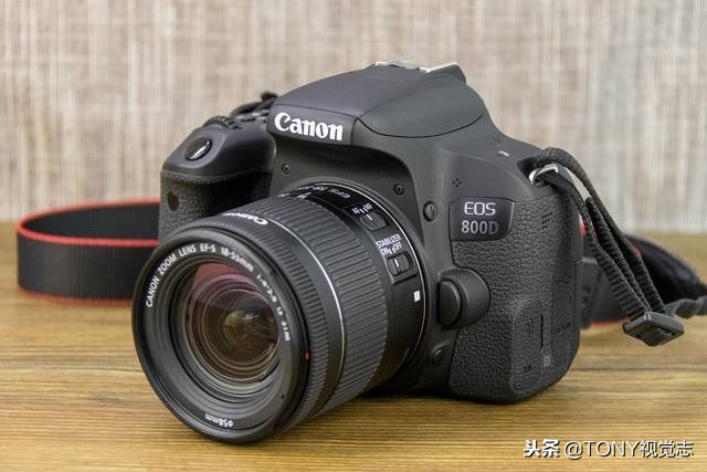 佳能尼康!新手选单反相机,推荐这几款机型,你get到了吗