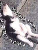 怎样让宝宝快速的适应幼儿园生活,如何让幼儿快速适应幼儿园生活