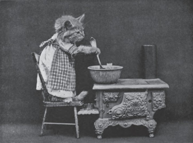 灏忕嫍灏忕尗鍖栬韩浜虹被,灏忕尗灏忕嫍鐢诲