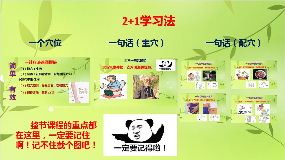 2+1学习法+一针疗法=零基础速成针灸高手