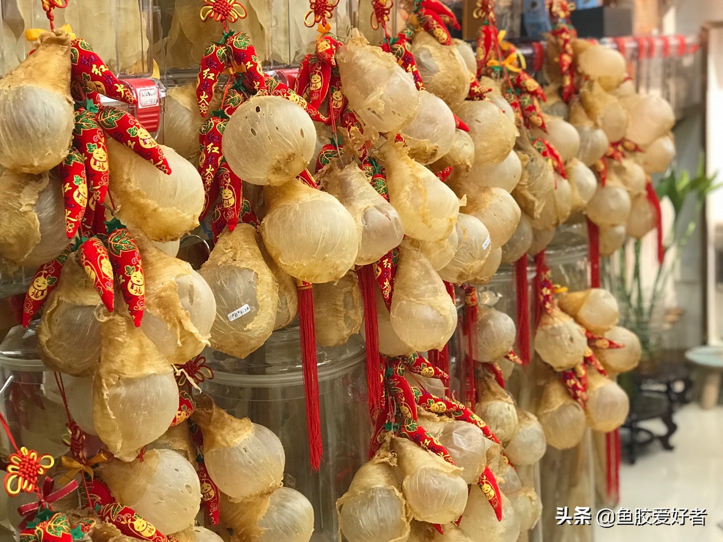 鱼胶做法最简单的方法,鱼胶的做法大全最好吃
