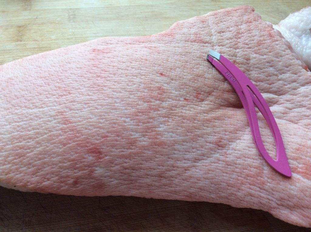 猪皮上猪毛怎么处理干净,猪皮上有猪毛用什么办法能拔净