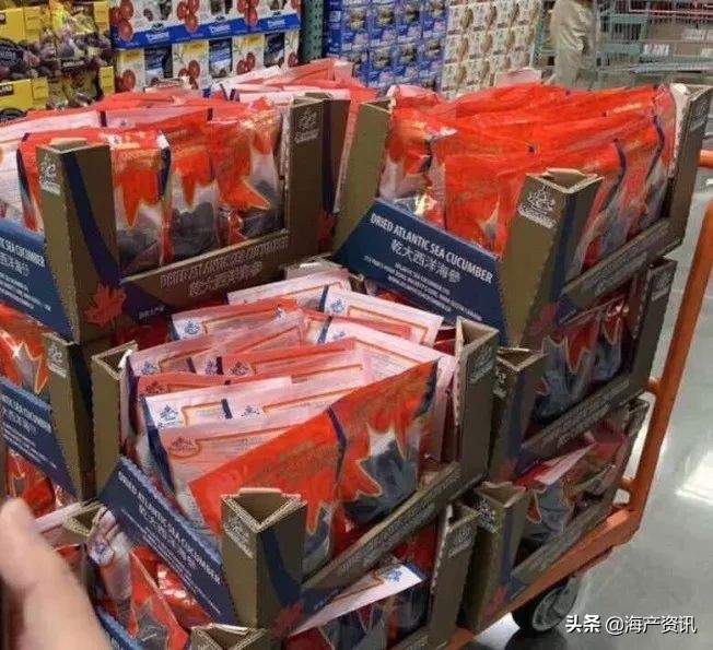 加拿大海参开袋即食,加拿大海参专卖店