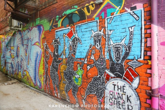 加拿大小众旅游目的地,加拿大纽芬兰自驾旅游