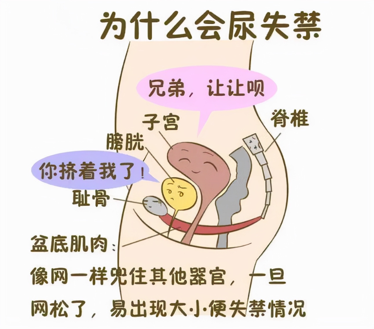 女的咳嗽漏尿是什么原因,咳嗽就漏尿坚持两个动作