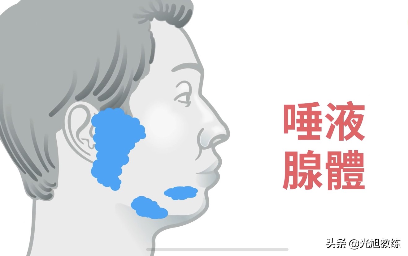 人体不知道的秘密,人体的八大秘密你知道么