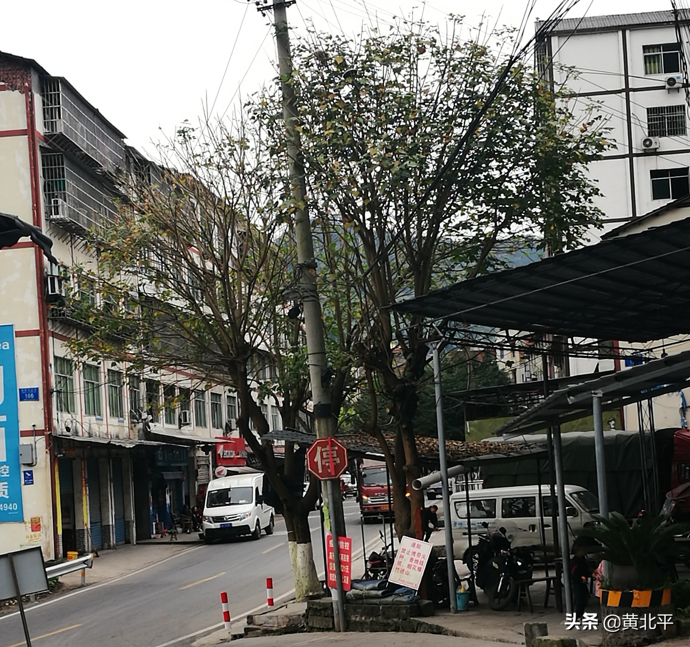 重庆市綦江区紫荆镇,重庆綦江东溪镇紫街新闻