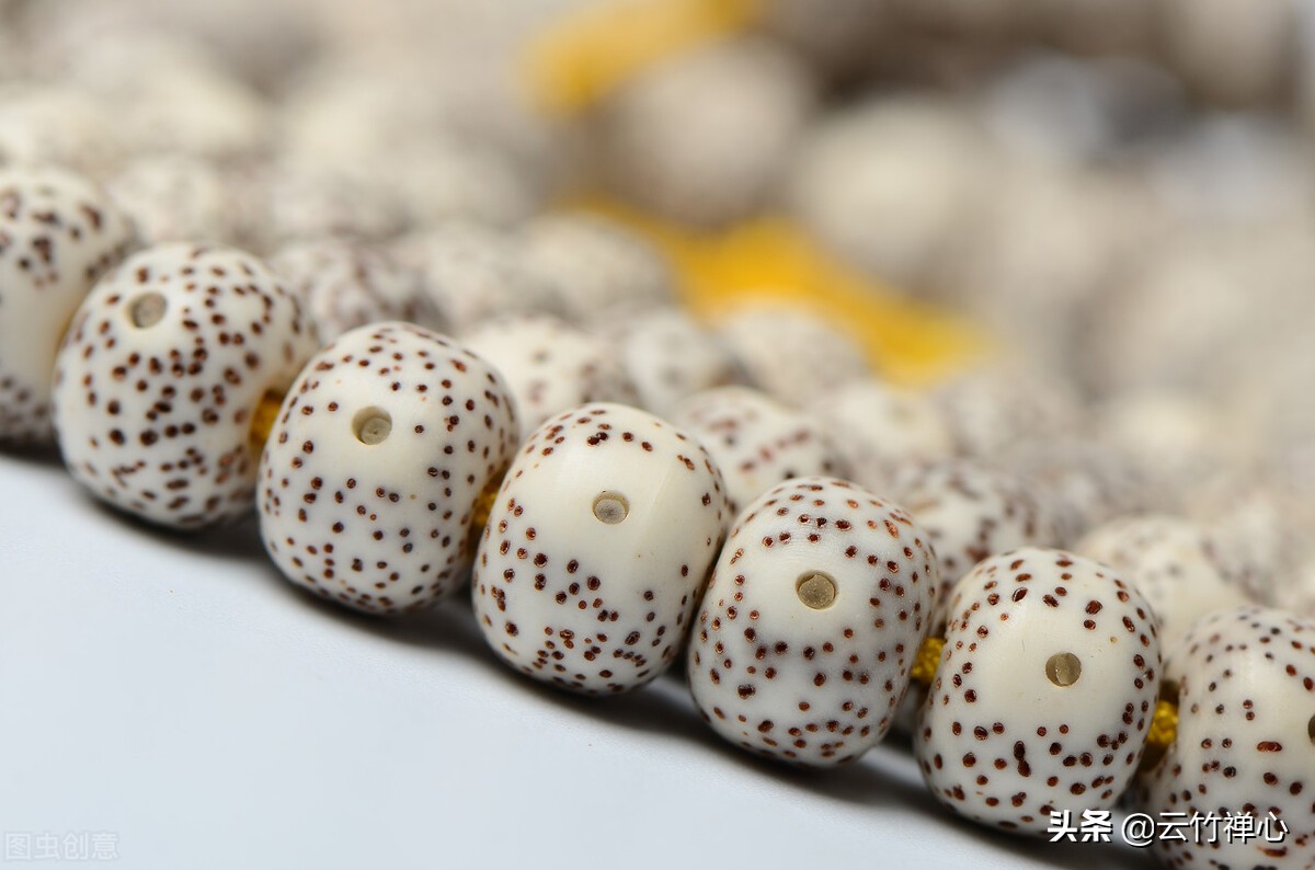 让我们重新认识重新开始,让我们重新认识一下